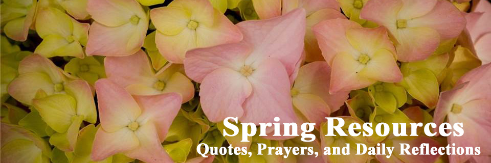 rotator-spring-with-text.jpg