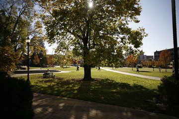 Photo of Fenwick lawn