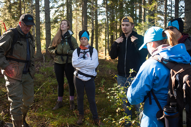 Photo of Students hiking in a Swedish Forest