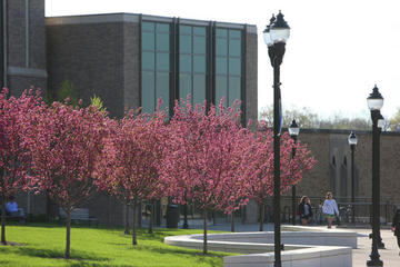 McDonald Library photo