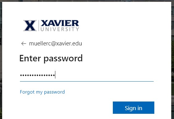 Authentication Password screenshot