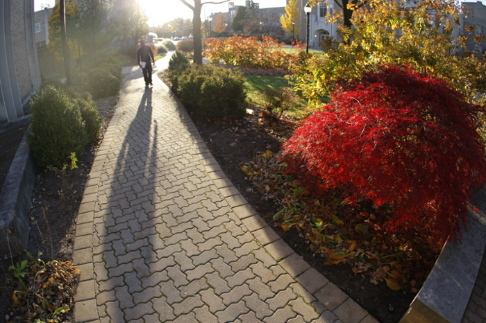 Student walking on the paved sidewalks of Xavier University on a sunny morning