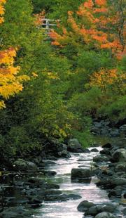 Photo of a Scenic River