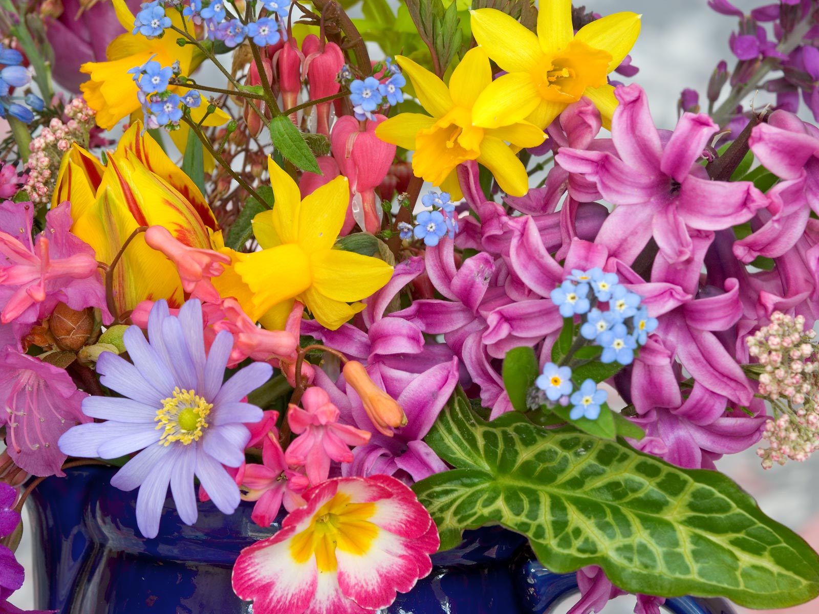 Photo of Spring Flowers