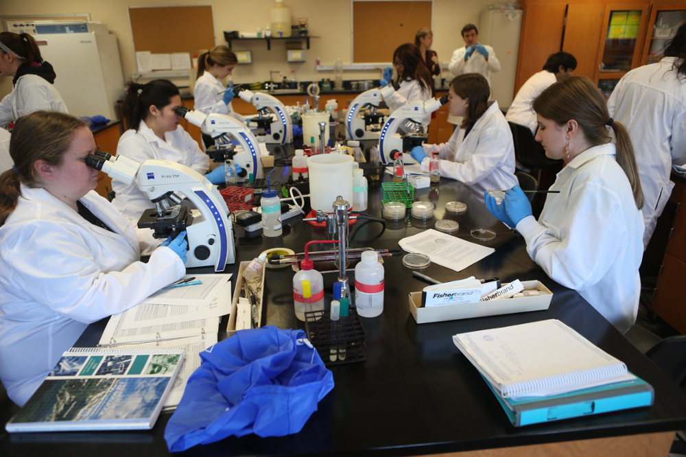 Labs in Albers Hall