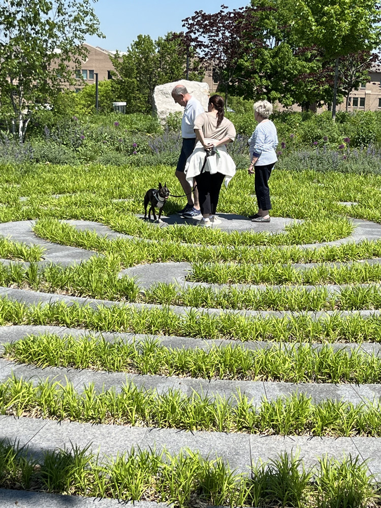 Labyrinth 2