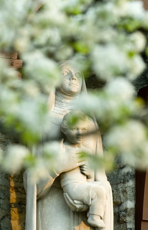 Photo of Shrine of Our Lady