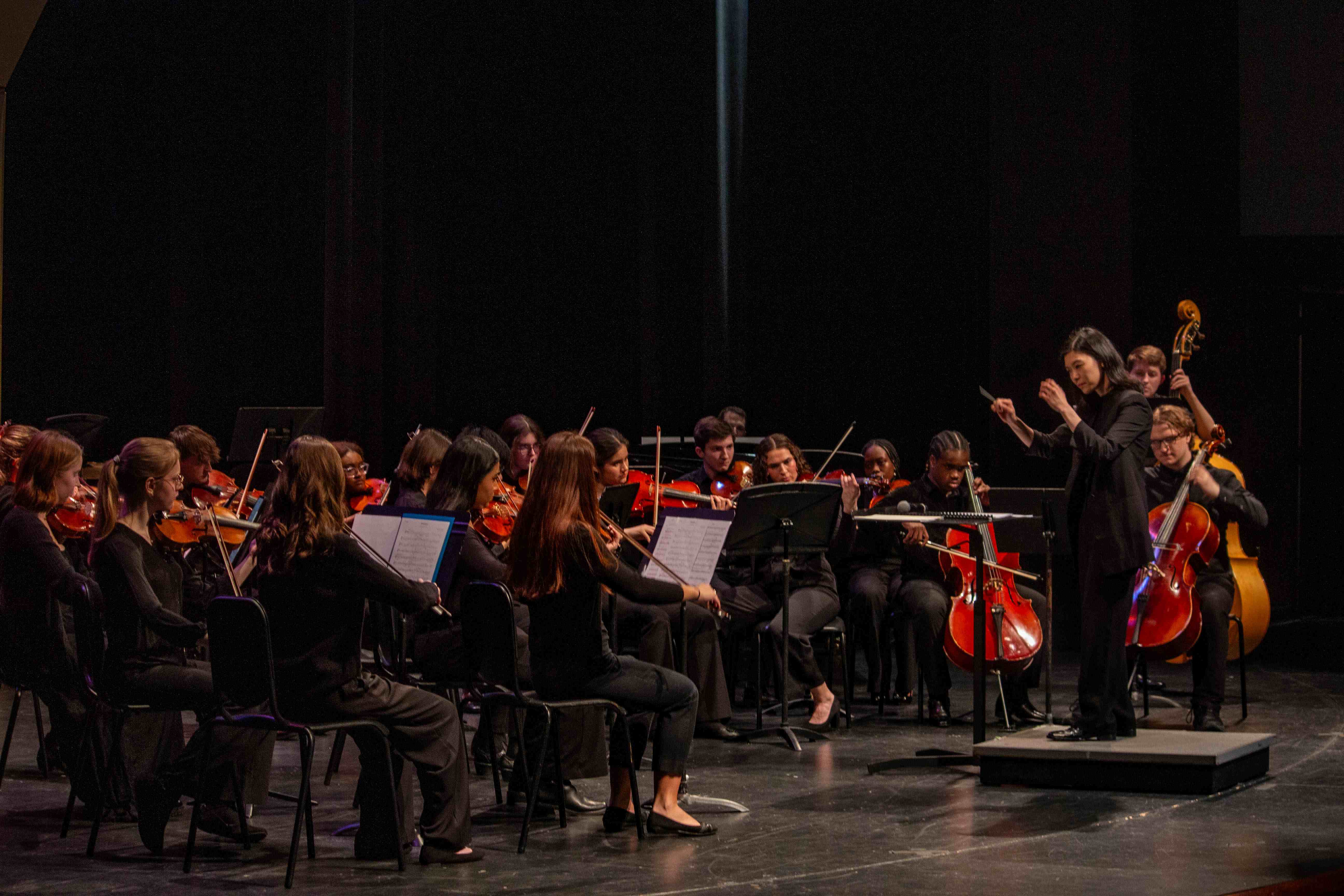 Chamber Orchestra