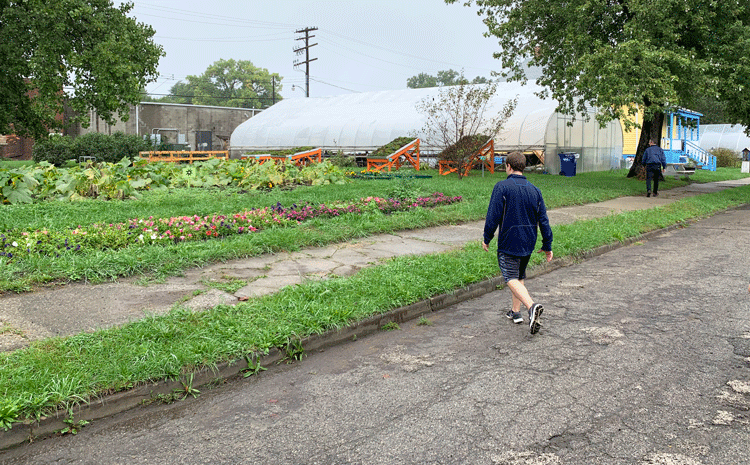 Oakland Avenue Farm