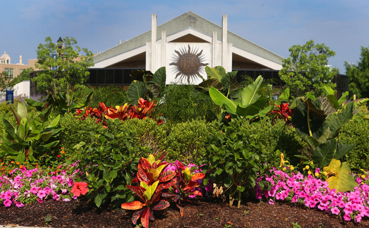 Photo of Flowers and Bellarmine Chapel
