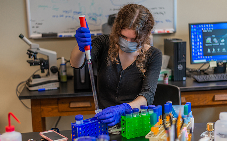 Student performing a Research Experiment photo