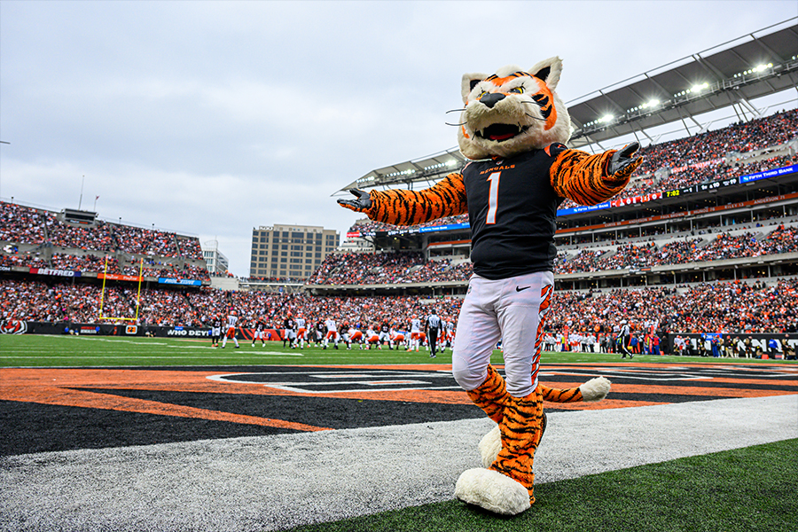 Bengals Mascot on Field