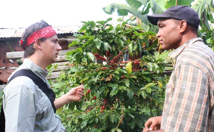 Andrew Hermann examining coffee beans. 