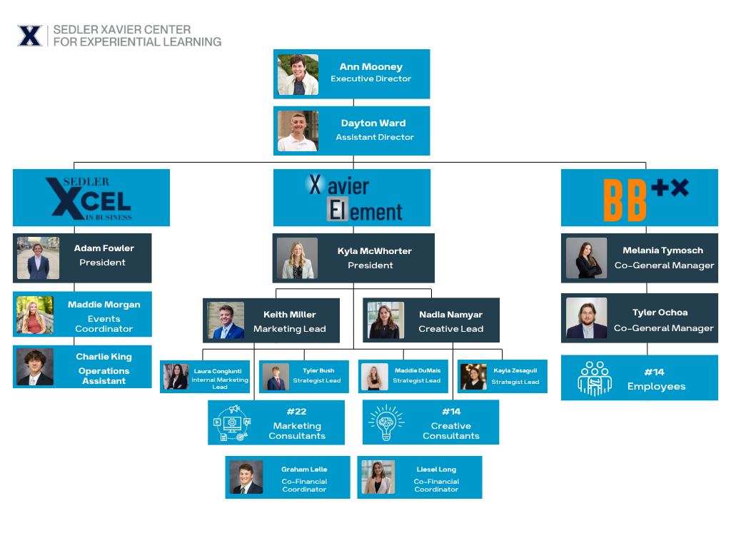 sedler-xcel-organization-chart-aug-2024.png