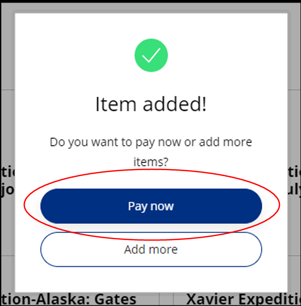 Item Added Notification with Pay Now circled