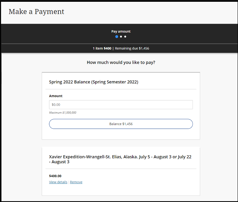 Make a Payment Page with Balance