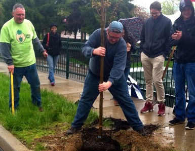 Photo of Joe planting something