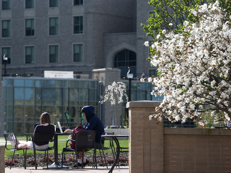 Two students sit on a metal outdoor table on Xavier's campus. The students both have their laptops open. The trees and shrubs surrounding  the students are blossoming with white spring flowers.